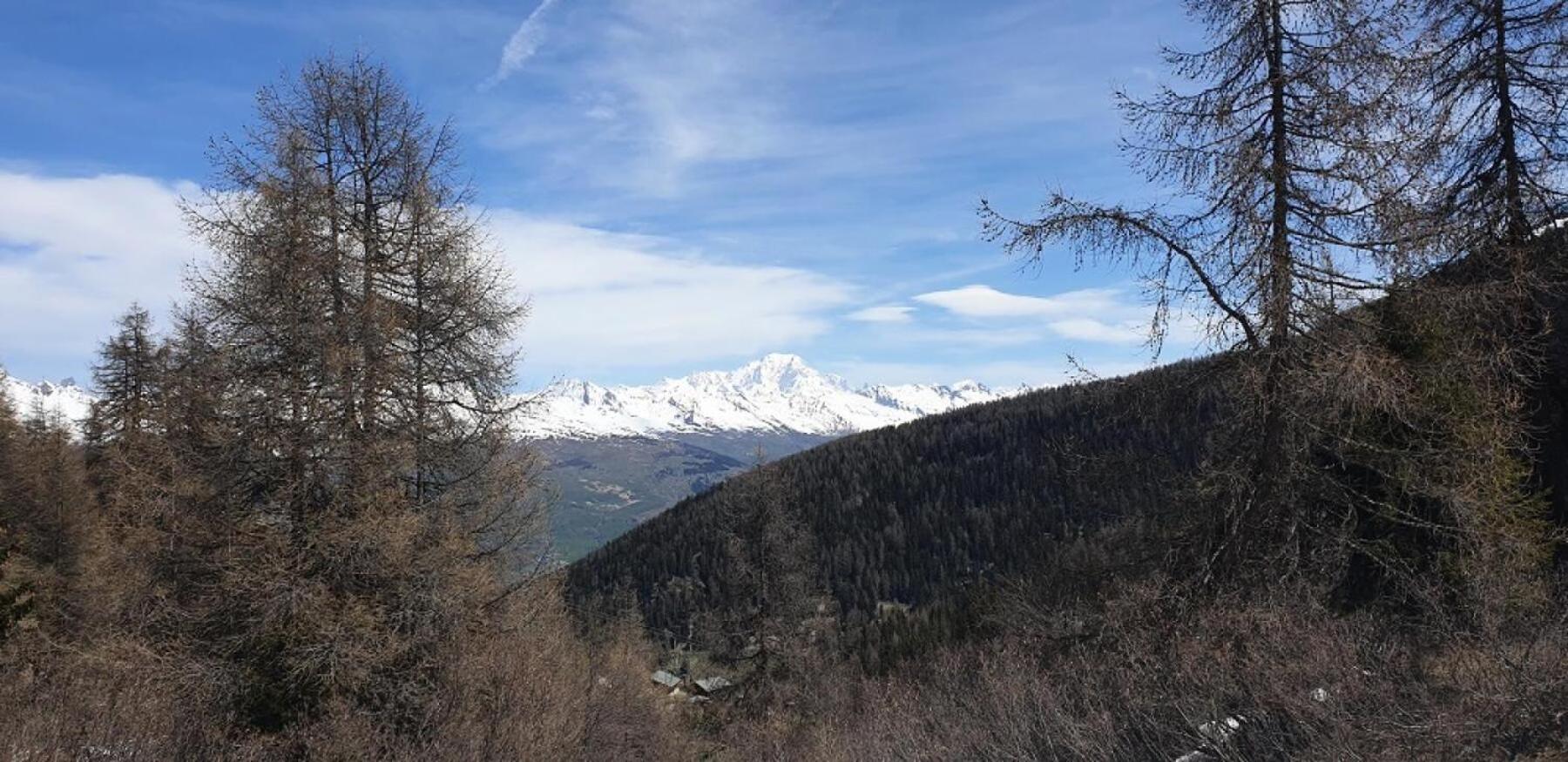 Residence Plagne Lauze - Maeva Home - Appartement 2 Pieces 5 Personnes - Confort Mae-9202 Macot-la-Plagne Bagian luar foto